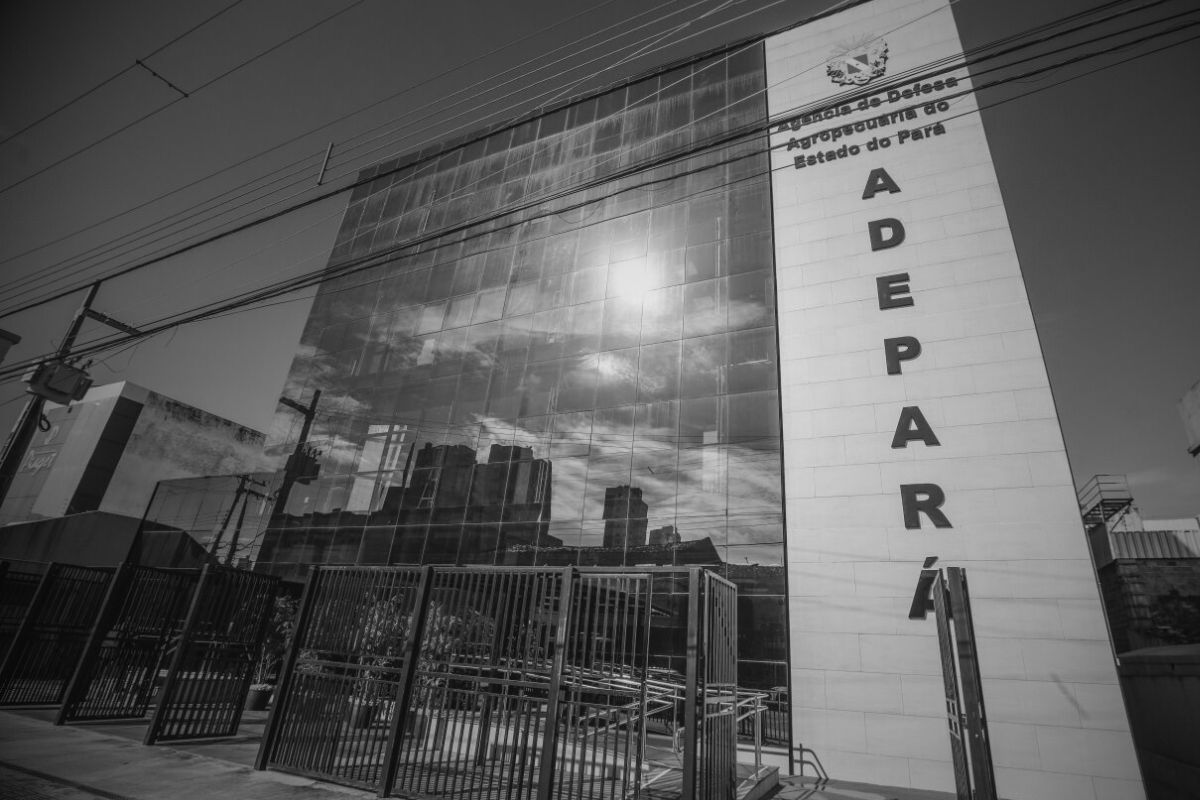 Sindafa-MG manifesta solidariedade diante do atentado ao fiscal da Adepará