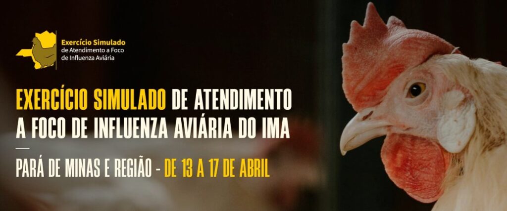 Sindafa-MG destaca prontidão de fiscais em simulado de influenza aviária