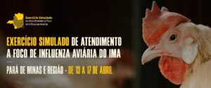 Sindafa-MG destaca prontidão de fiscais em simulado de influenza aviária