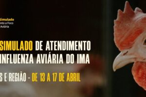 Sindafa-MG destaca prontidão de fiscais em simulado de influenza aviária