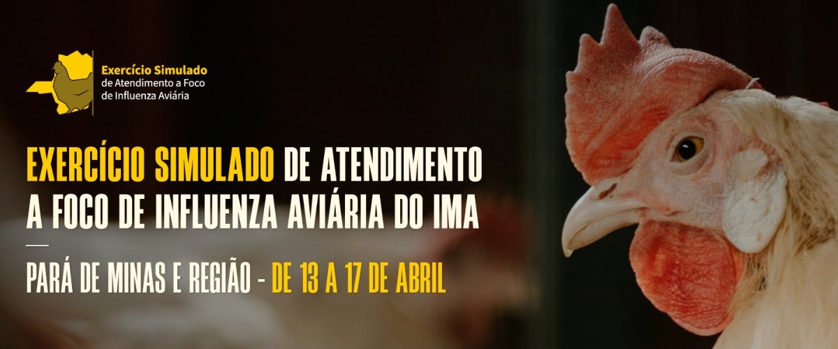 Sindafa-MG destaca prontidão de fiscais em simulado de influenza aviária