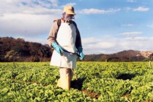 Fiscalização agropecuária do IMA contribui para a preservação do solo e o desenvolvimento sustentável