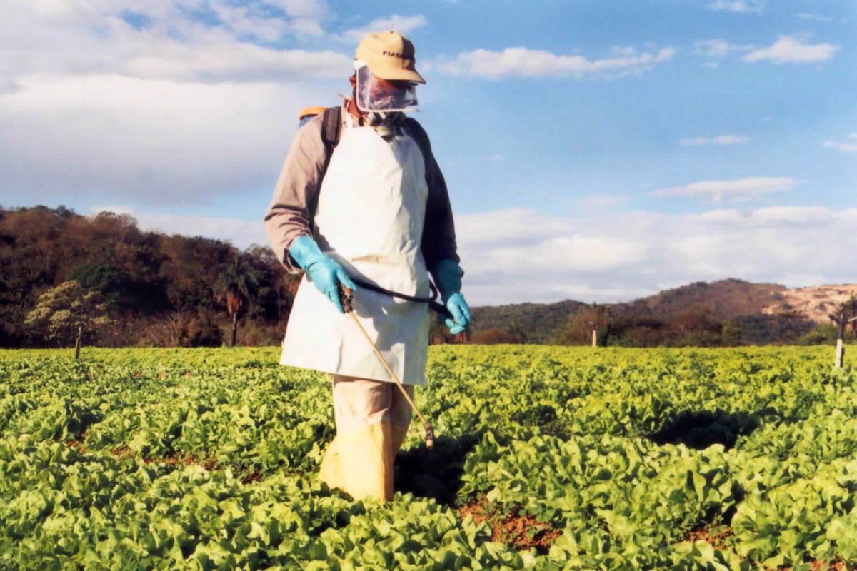 Fiscalização agropecuária do IMA contribui para a preservação do solo e o desenvolvimento sustentável
