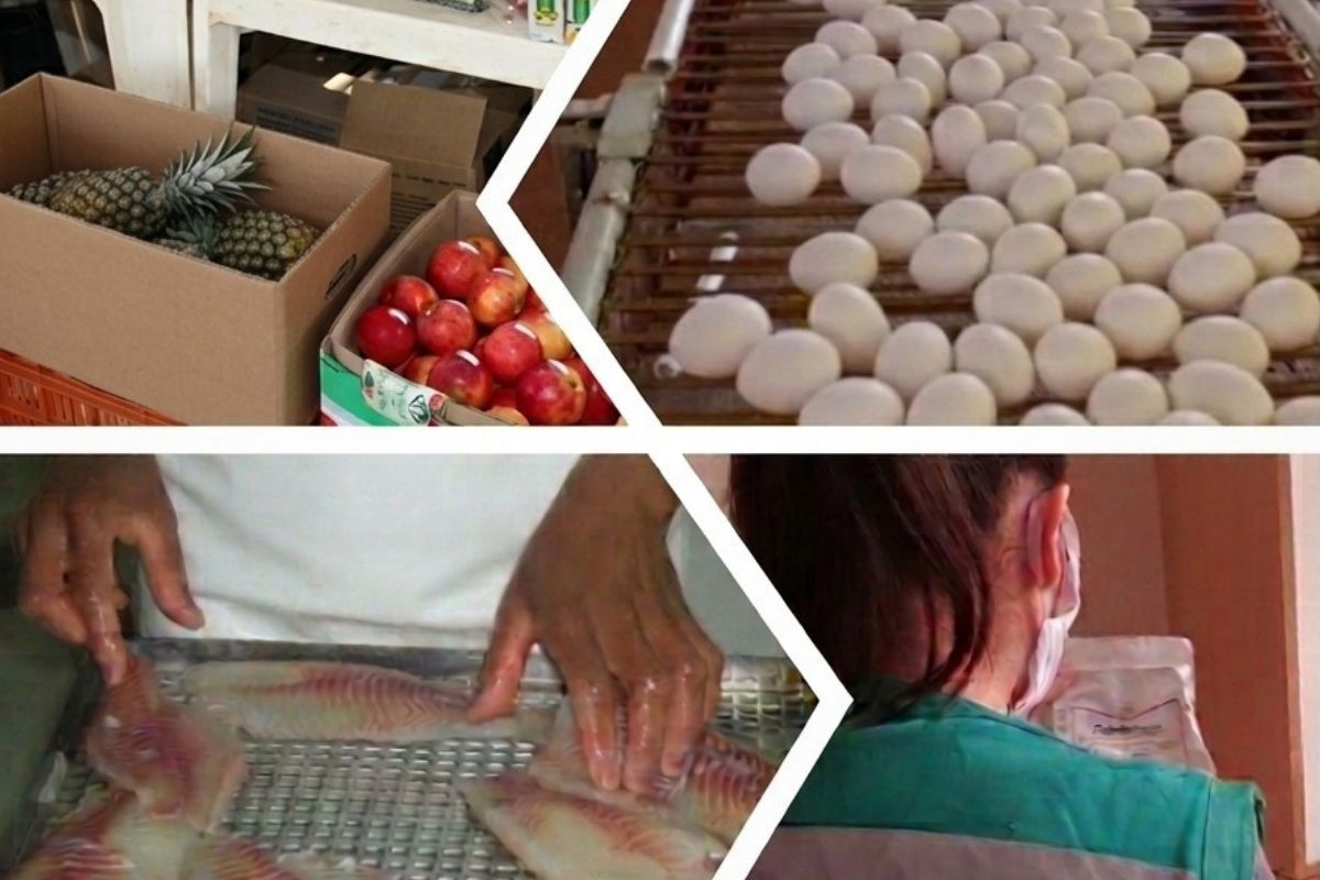 Fiscalização agropecuária garante segurança à mesa do mineiro nesta Páscoa