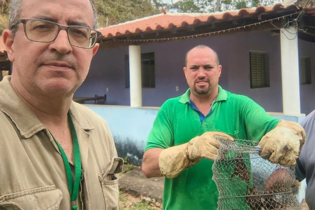 Fiscalização agropecuária protege o rebanho de Minas Gerais no combate à raiva