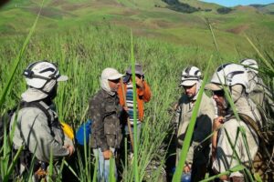 Atuação dos técnicos em agropecuária impulsiona a defesa sanitária em Minas Gerais